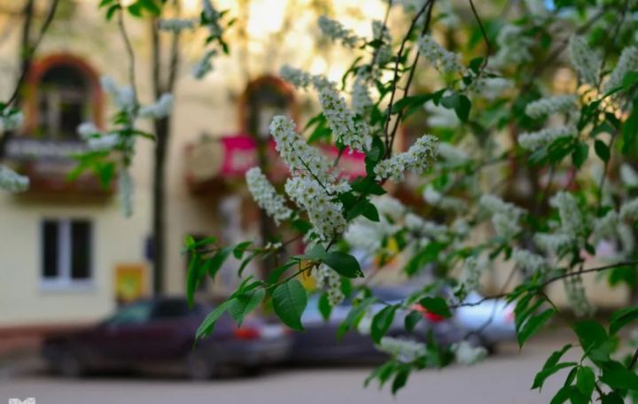 Станет холоднее: прогноз погоды в Луганске и ЛНР на 25 мая