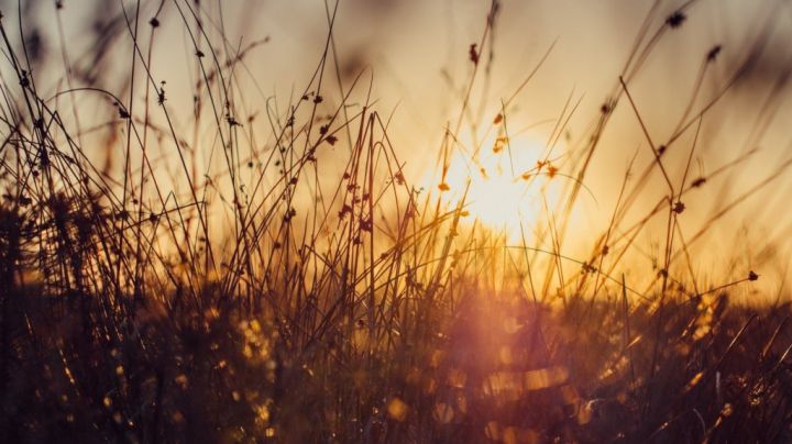 Гроза, ветер и до +30: в ЛНР 30 мая установится жаркая погода