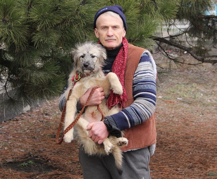 Исповедь краснодонского собачника