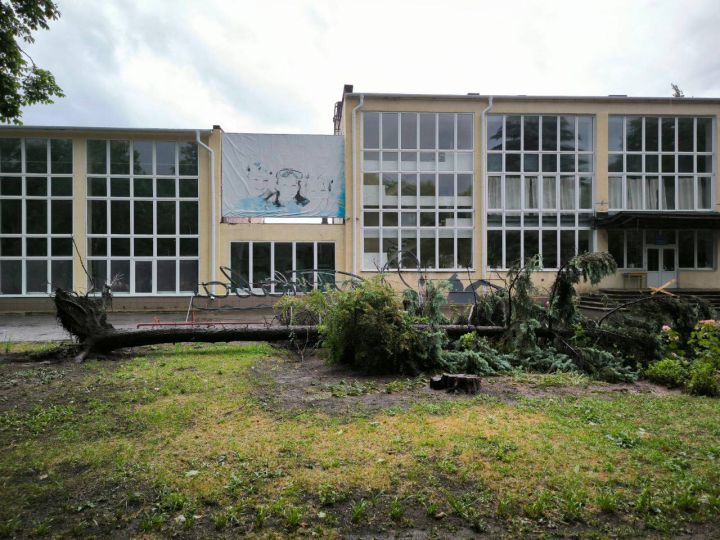 Ураганный ветер повалил десятки деревьев и лишил света жителей одного из городов ЛНР