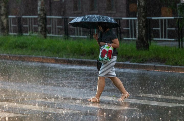 Небольшой дождь и до +31: прогноз погоды в ЛНР на 1 июня