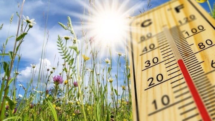 В России планируют сократить рабочий день на четыре часа из-за жары