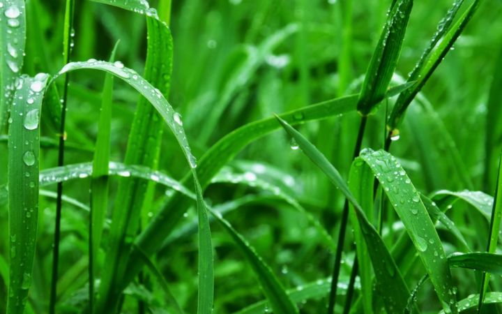 Глобальные последствия. Как изменится погода летом 2024 года из-за катастрофы в Тихом океане?