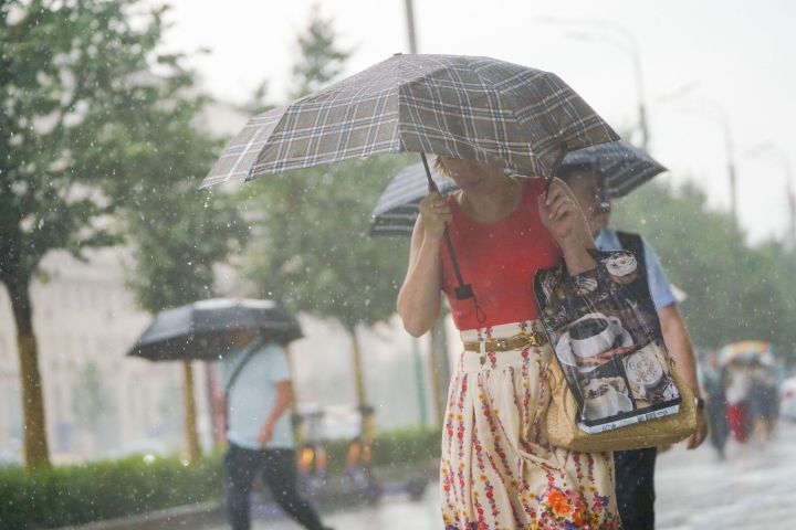 Жара до +35, дождь с грозой и сильным ветром: синоптики рассказали о погоде в ЛНР 12 июня