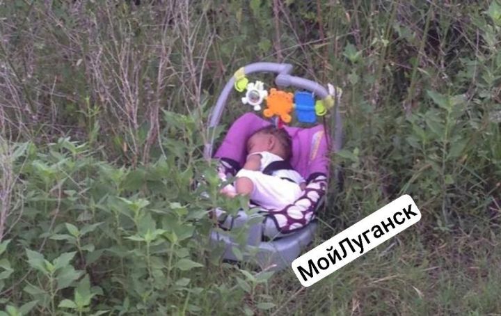 В одном из городов ЛНР в посадке нашли младенца