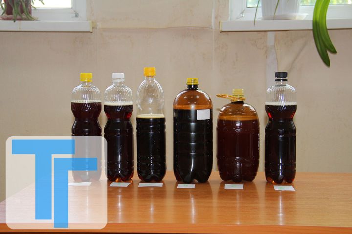 Какой квас лучше? Итоги дегустации напитка производства ЛНР и других регионов России