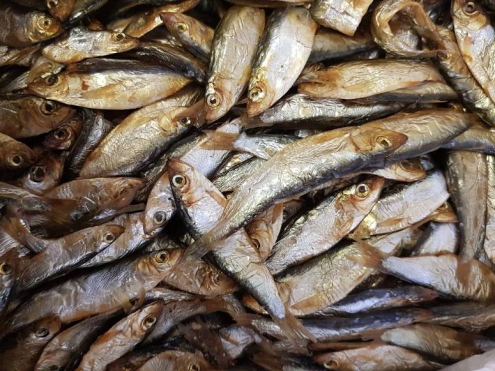 С костями и потрохами: эксперты рассказали, какая рыба влияет на продолжительность жизни