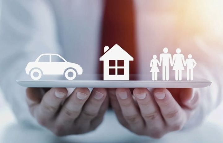 Минпромторг предупреждает: в ЛНР с 2025 года будет действовать обязательное страхование