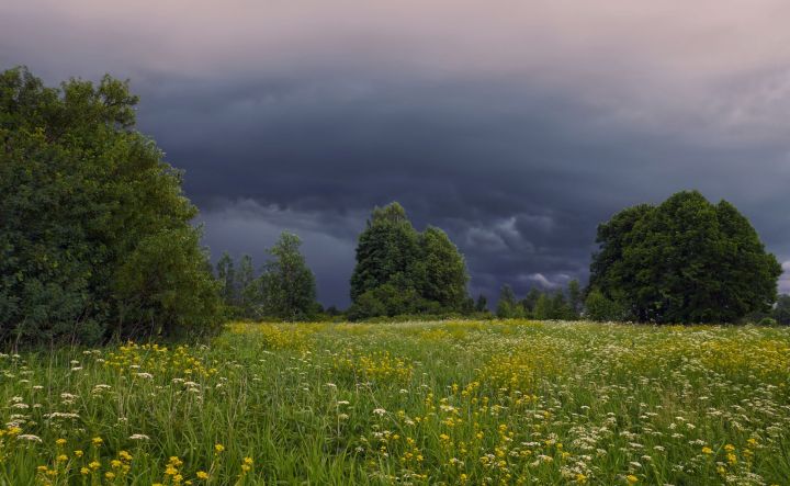 Небольшой дождь, гроза и ветер: прогноз погоды в ЛНР на 19 июня