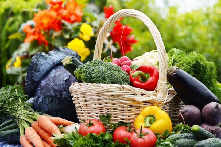 Заморозки в ЛНР стали причиной неурожая: что будет с ценами на сельхозтовары