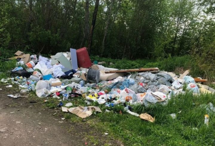 Одну из администраций в ЛНР отчитали за образование несанкционированной свалки мусора