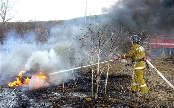 Сухостой горит всё чаще: количество пожаров в Свердловске значительно выросло из-за жары