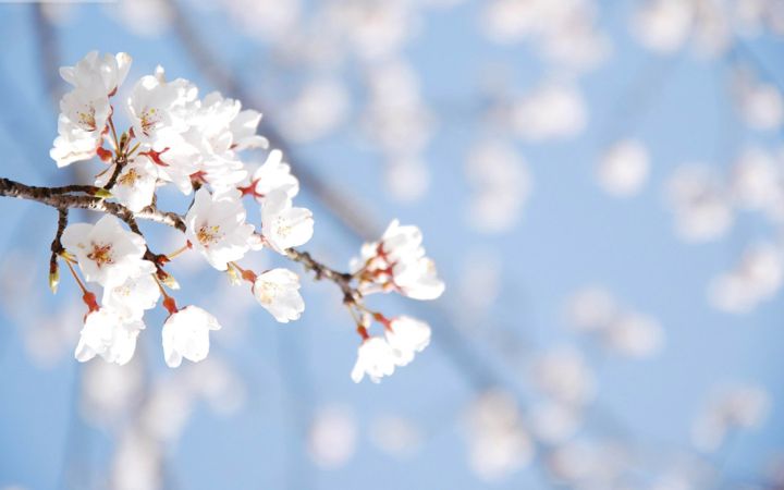 Какие планы на эту весну у свердловчан и краснодонцев?