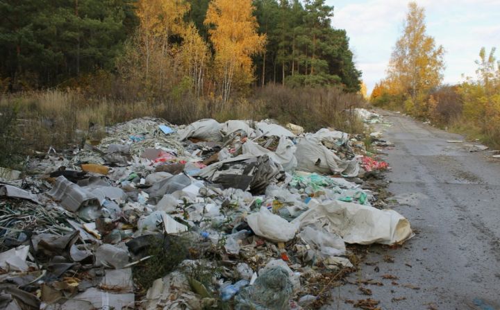 Штраф влетит в копейку: жителей ЛНР предупреждают о наказании за выбрасывание мусора в неположенном месте