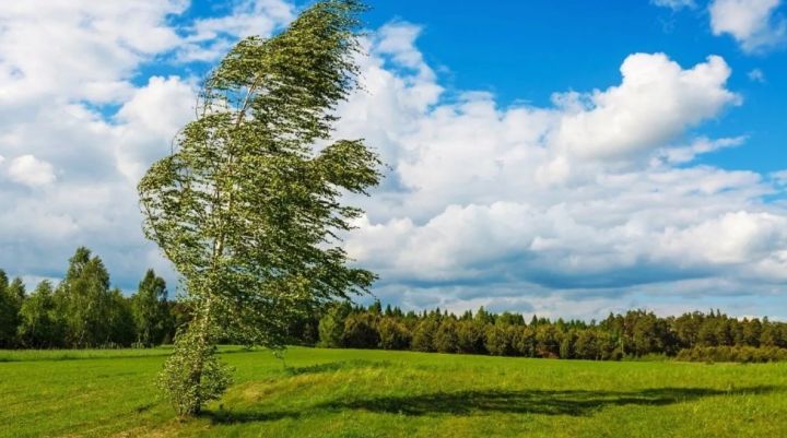 Внимание, жители ЛНР! Штормовое предупреждение продлили до 6 июля