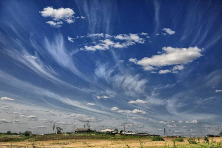 В ЛНР придут гроза, ветер, а также небольшое снижение температуры: синоптики рассказали о погоде 6 июля