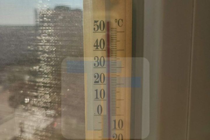Улучшений не ждём: синоптик предупредила, что сильная жара в ЛНР задержится до августа
