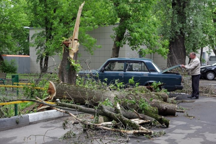 На фоне аномальной жары в ЛНР по ДНР пронёсся ураган: десятки тысяч жителей остались без света