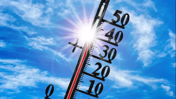 Жара в самом разгаре: прогноз погоды в ЛНР на 11 июля