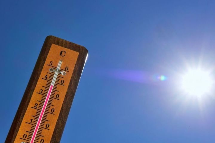 Без осадков и с традиционной жарой: синоптики рассказали о погоде в ЛНР 12 июля