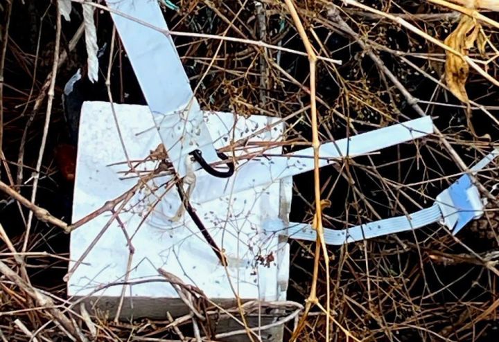 ВСУ разбрасывают в лесах ЛНР зажигательные контейнеры: что делать, если вы обнаружили «находку»?