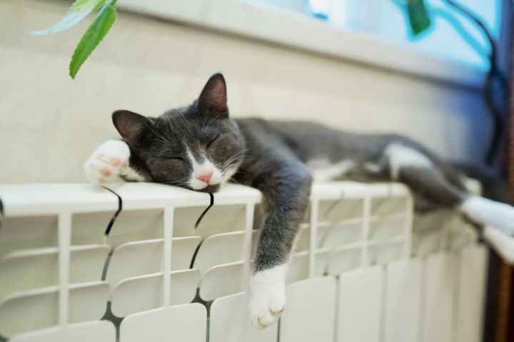 Готовьте сани летом: стало известно, когда в ЛНР начнётся отопительный сезон