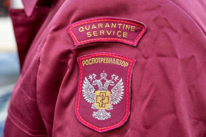 Стало известно, выявлены ли в ЛНР случаи заболеваемости ботулизмом