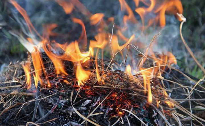 Экстренное предупреждение сделали синоптики на фоне аномальной жары в ЛНР