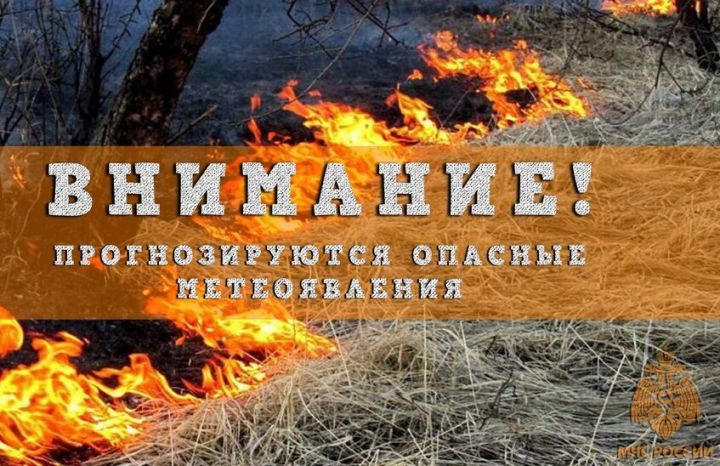 Внимание, жители ЛНР! На фоне аномальной жары синоптики сделали экстренное предупреждение