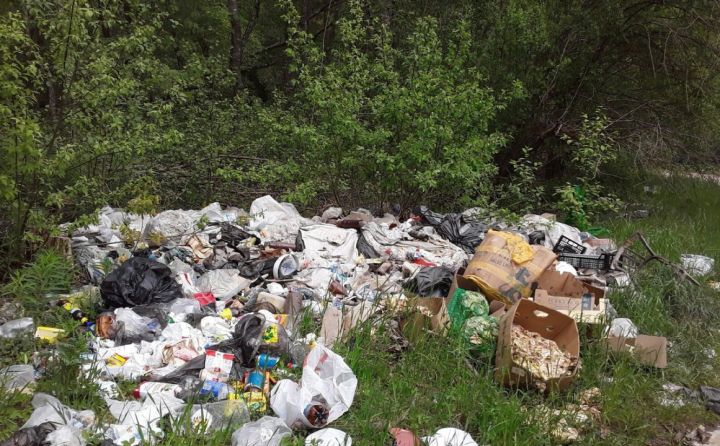 Найдут каждого: в Луганске установили камеры в местах образования стихийных свалок