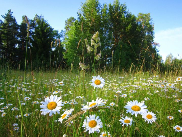 Долгожданное похолодание пришло в ЛНР: прогноз погоды на 22 июля
