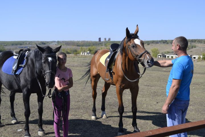 Конный клуб «Декурион» из ЛНР нуждается в помощи! Идёт сбор средств на закупку сена лошадям