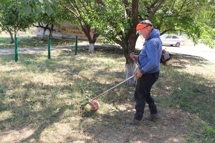 ЖЭК – спит, трава – растет, или жители Краснодонщины берут косу в свои руки