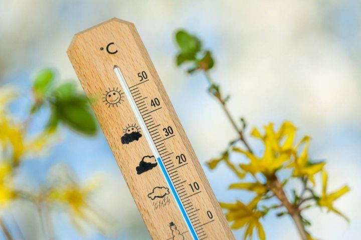 Жара отступает: погода в ЛНР 25 июля окажется комфортной для жителей