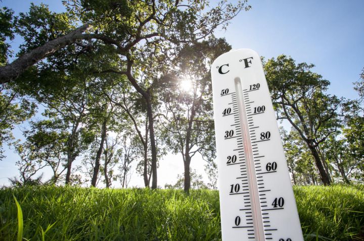 Выходные в ЛНР начнутся с жаркой погоды: синоптики рассказали, какая температура будет 27 июля