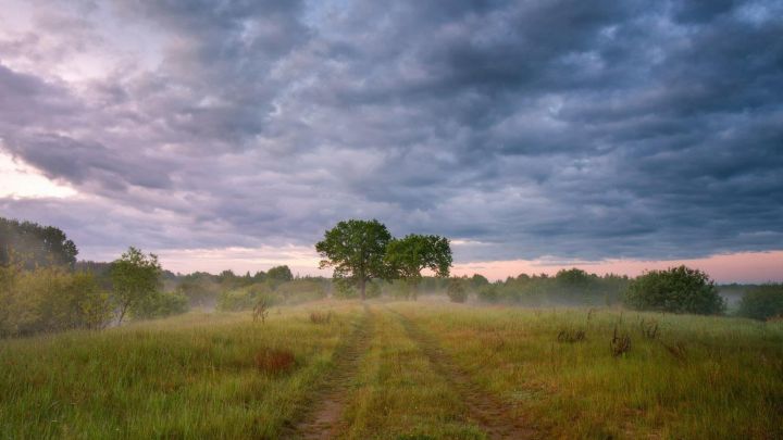 Дождь с грозой и ветром: синоптики рассказали, какой погоды ждать жителям ЛНР в последний день июля