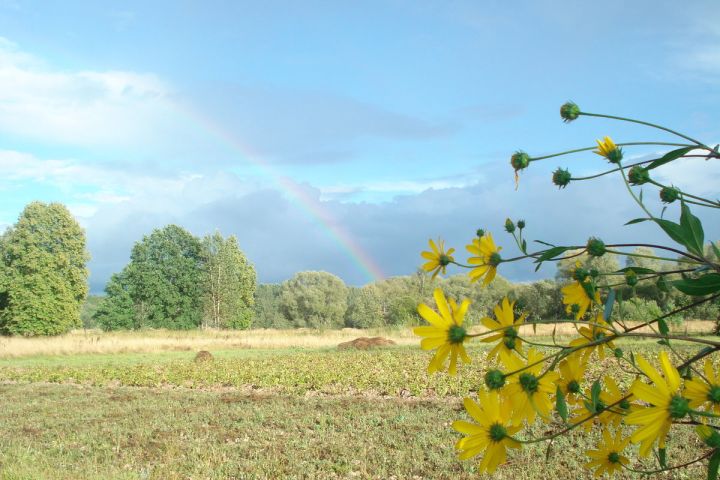 В первый день августа в ЛНР ожидается жаркая погода и без осадков