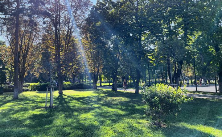 Без дождей и с обилием солнца: стала известна погода в граничащем с ЛНР регионе РФ в августе