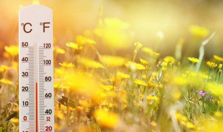 Сухая и жаркая погода установится в ЛНР 2 августа: синоптики сделали прогноз