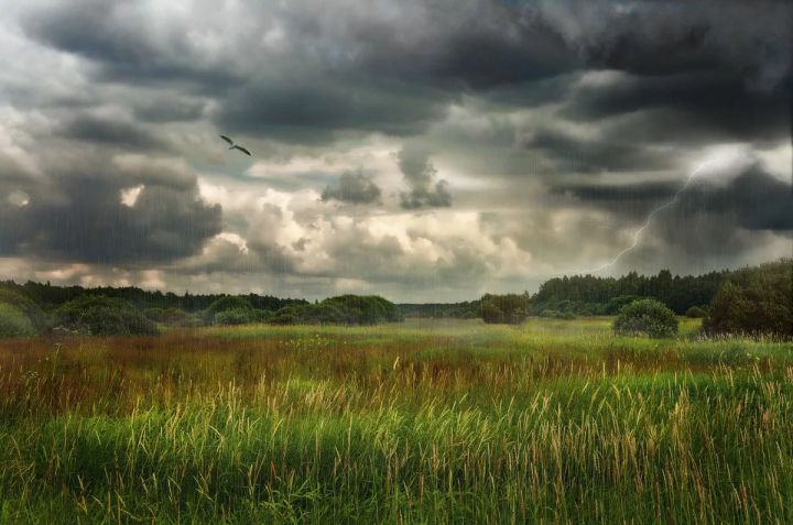Снова дождь с грозой и ветром: синоптики рассказали о погоде в ЛНР 6 августа