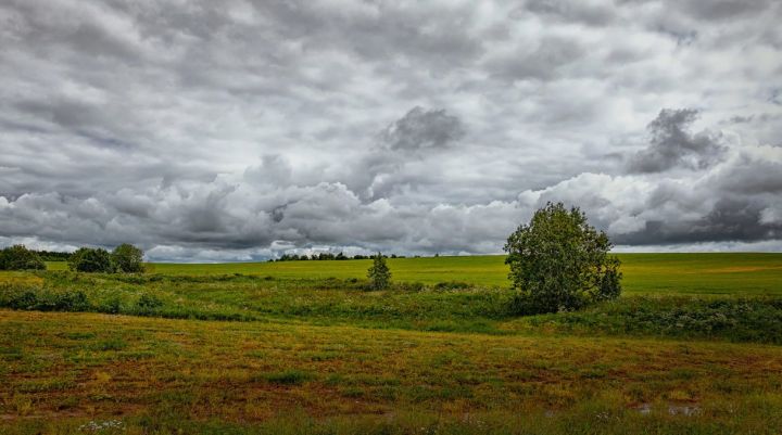 Экстренное предупреждение сделали синоптики касательно погодных явлений в ЛНР