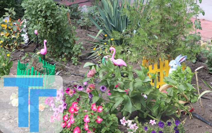 Делаем это для себя: как свердловчане самостоятельно облагораживают территории перед домами