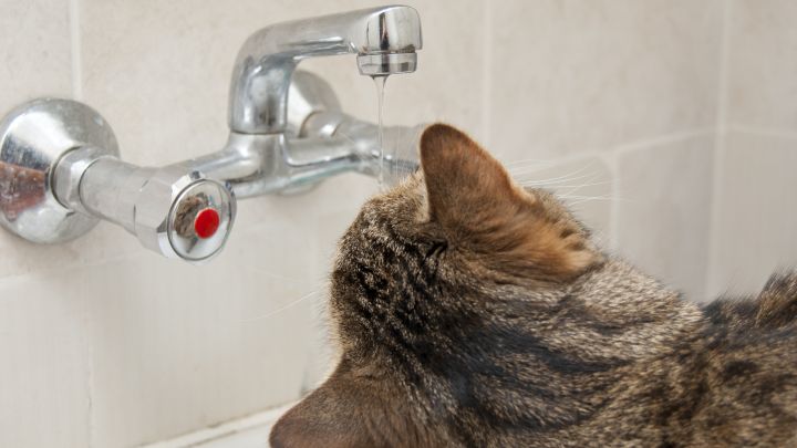 Кто в ЛНР остался без воды 7 августа? (Список адресов)