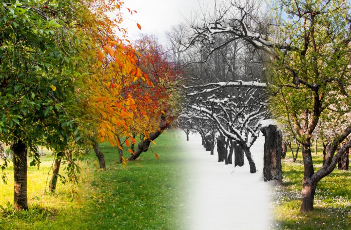 Учёные доказали: время года влияет на моральные ценности людей