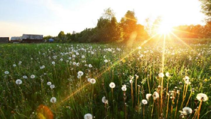 Похолодание ожидается в ЛНР 13 августа