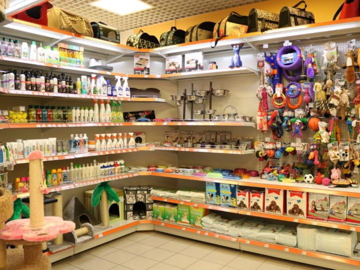 Незаконно продавали ветпрепараты: ряд ветклиник и зоомагазинов в ЛНР оказались под надзором прокуратуры