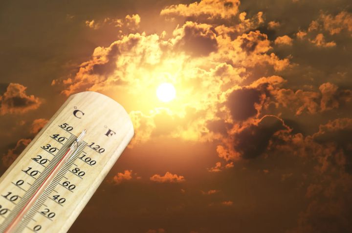 Жара отступать не намерена: синоптики сделали прогноз погоды на 22 августа