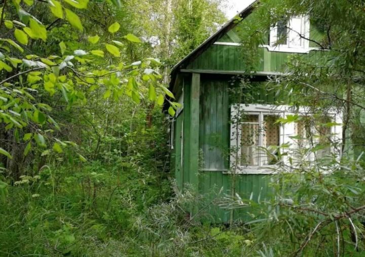 В ЛНР у дачников могут изъять земельный участок, если он зарос сорняками