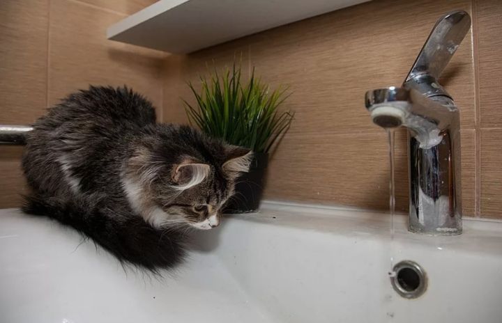 Внимание, население ЛНР! Масштабное отключение воды ожидается с 27 августа - воды у некоторых не будет вплоть до 2 сентября