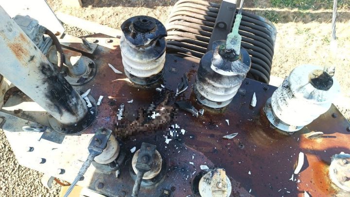 В ЛНР 11 населённых пунктов остались без света: диверсию устроила куница